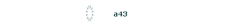 a43