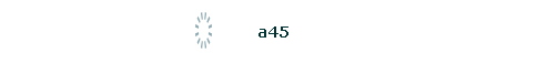 a45