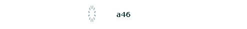 a46