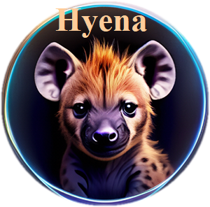 Hyena Kets Akademy Hyena Kets Akademy