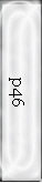 p46