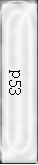 p53