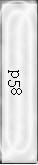 p58