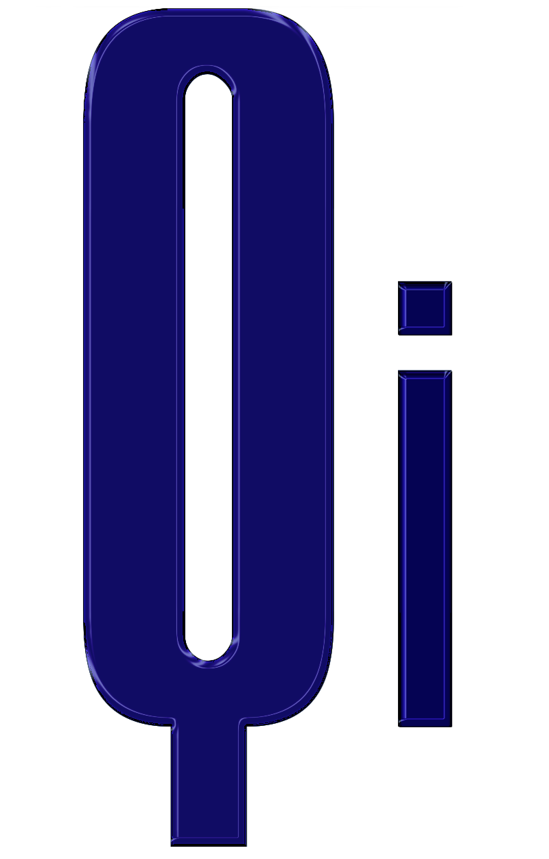  Qiverse new design tshirt logo