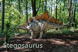 Stegosaurus
