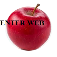 ENTER WEB