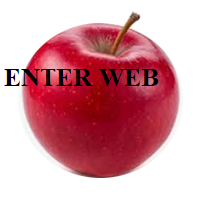 ENTER WEB